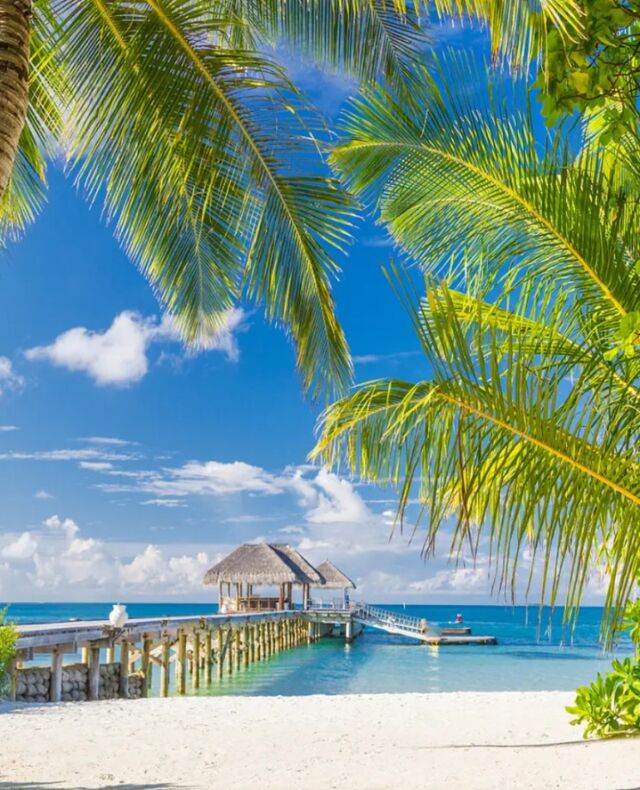 Mother’s Day is just around the corner, and @advancedvacations is spreading the love with a special discount on all purchases.🌞🌴⁠
⁠
Whether you’re booking a flight, an adventurous tour, or planning something unforgettable in a tropical city, this is the perfect time to do it with a little extra joy.⁠
.⁠
.⁠
.⁠
#advancedvacations #shopcapilanomall #northvancouver #travel #beachtime ⁠